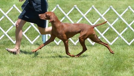 Image of Boulder's N Fusion's Soul de mi Corazon