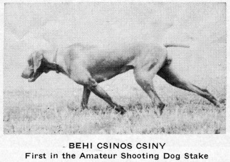 Image of Behi's Csinos Csiny