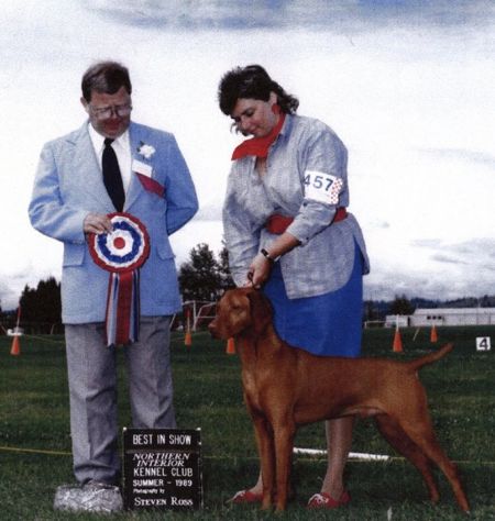 Image of Vizsta's Royal Pacesetter
