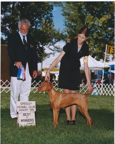 Image of Brenvilla's All Jazzed Up