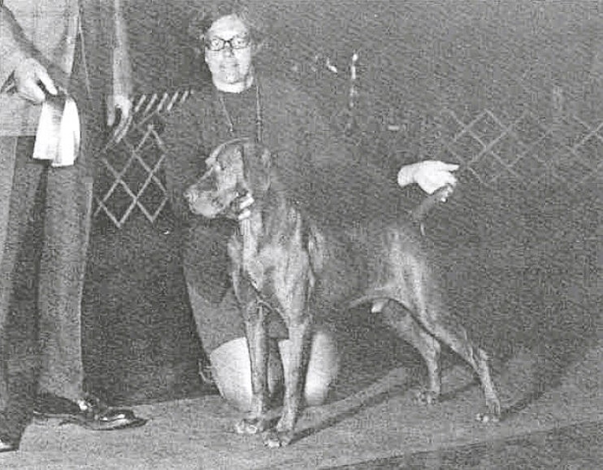 Image of Chip Odysseus
