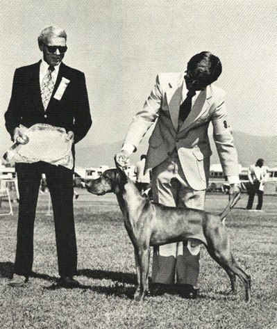 Image of Totton's Mikhail Of Rotkopf