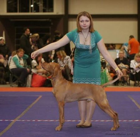 Image of Andzar Imperial Yantar