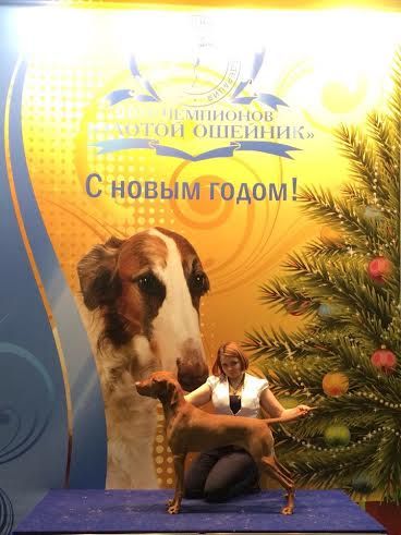 Image of Andzar Imperial Yantar