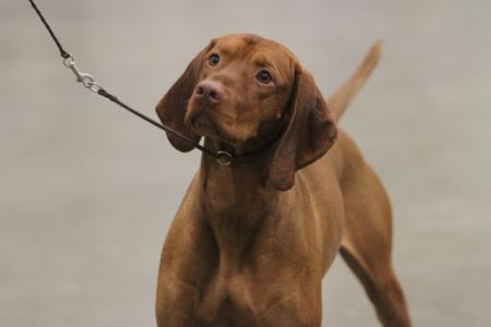 Image of LaTierra's Rory O'Rourke