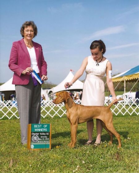 Image of Berkcor's Juicy Little Secret