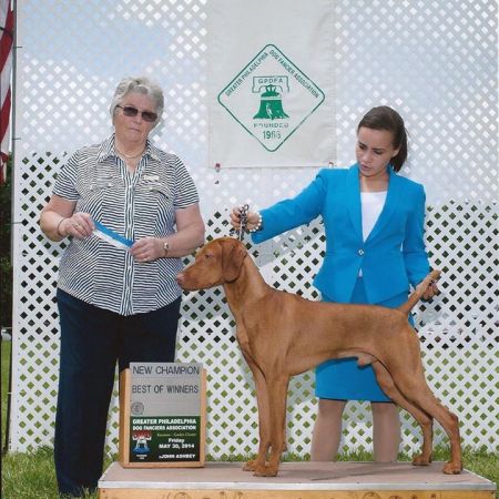 Image of Berkcor's Wrecking Crew