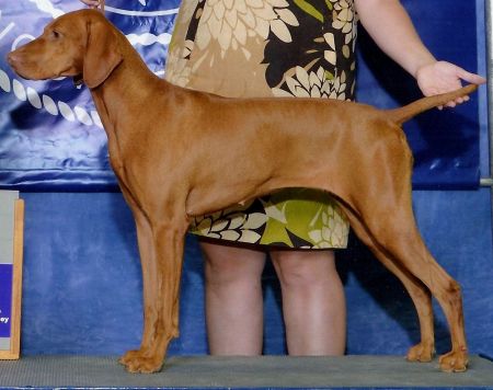 Image of Ky's Cj Watch'n Me Wynn