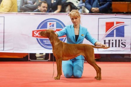 Image of Givenchy Kievskie Kashtany