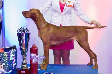 Image of Givenchy Kievskie Kashtany