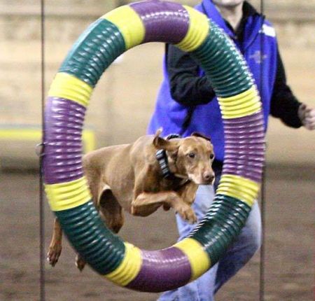 Image of Fantazsa's Classic Chenille