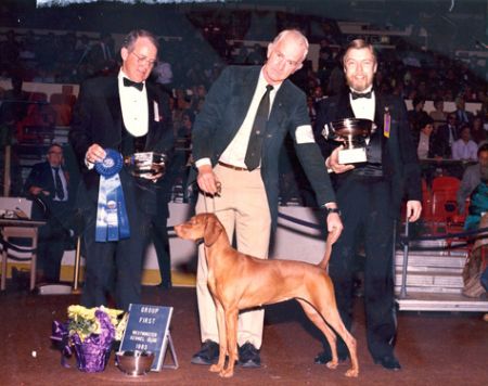 Image of Harann's Tulipann