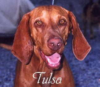 Image of Tulsa Of Trails West