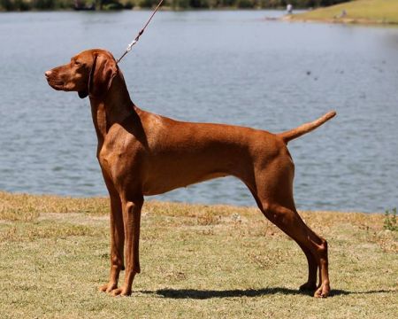 Image of Moonlight's Eat Your Heart Out