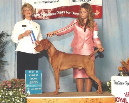 Image of Szizlin Kiwi Pasch