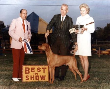 Image of Taunee's Loki Santana