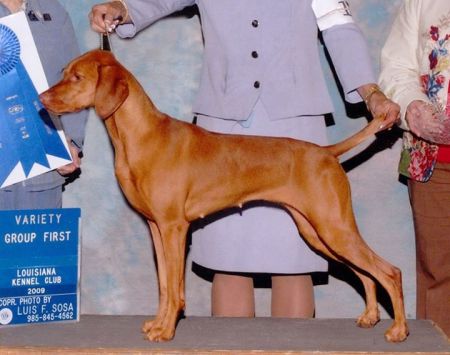 Image of Renaissance Girls Gone Wild