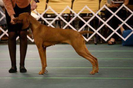 Image of Boulder's Power Of Persuasion