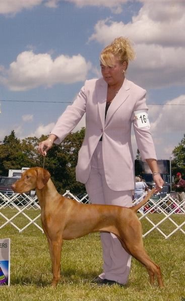 Image of Szizlin's Davona Dale