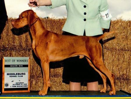 Image of Elgin Cariad Dorratz Miles To Go