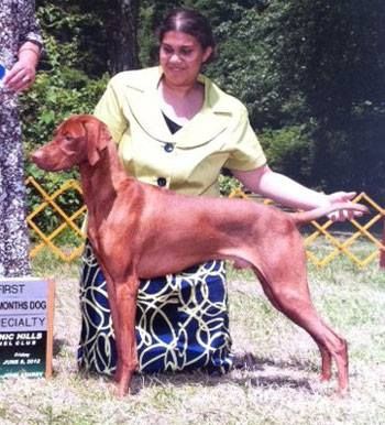 Image of Cameo's Maximus Aurelius