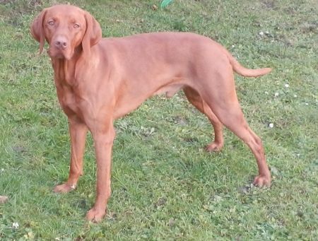 Image of Art od Oskavy