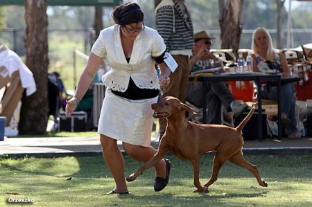 Image of Erdos Jesse James