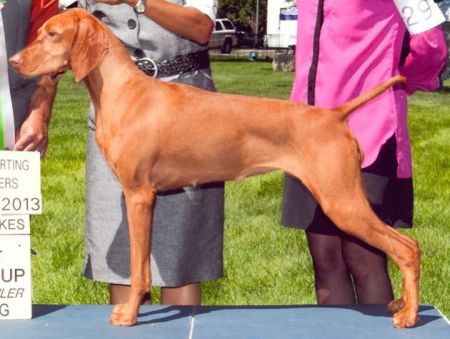 Image of Boulder's N Fusion's Power Trip