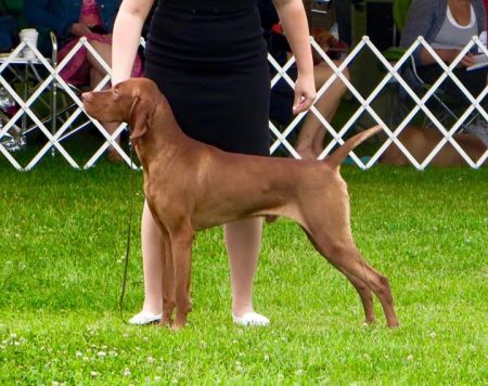 Image of Rhapsody's Tequila Sunrise