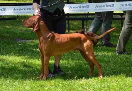 Image of Bert Bertoni Prague