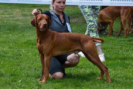 Image of Bert Bertoni Prague
