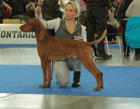 Image of Bert Bertoni Prague