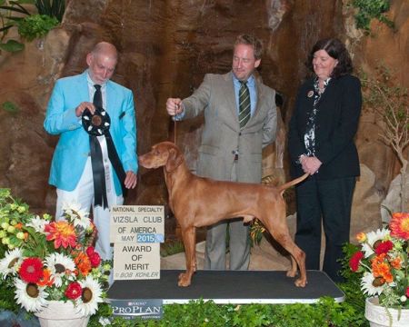 Image of Regal Point Konane