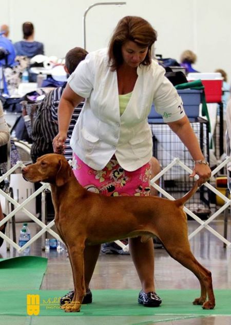 Image of Mira's Peacemaker