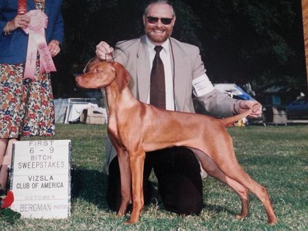 Image of Jaybren's Cimbora Delno