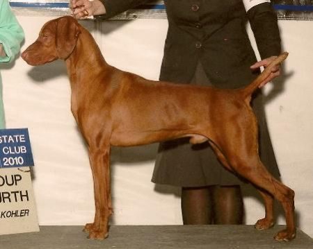 Image of Mehagian's Sleepy Hollow The Beat Goes On