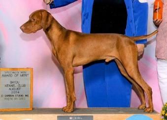 Image of Banker's Texas Ranger