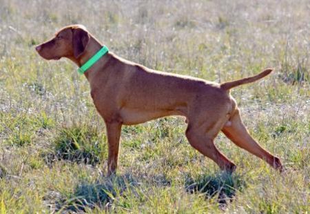 Image of Mtnprd Kezza N Tosci Spice Things Up