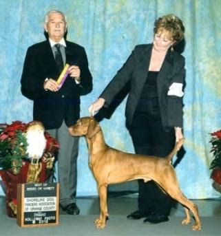 Image of Kezdet's Russet Leather River Whisper