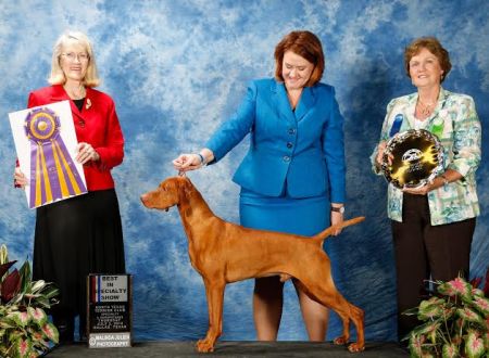 Image of Kyllburg N Woodland's Jazz And Blues