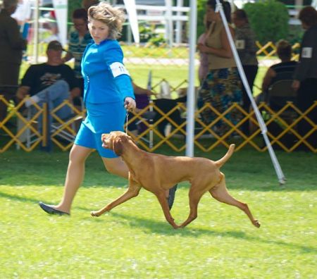 Image of Rhapsody's We Go Together