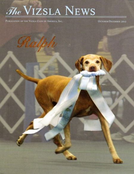 Image of Jnek's King Ralph