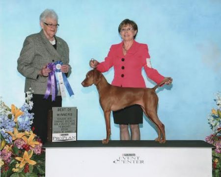 Image of Boshar'n Pinewood's Jasmine