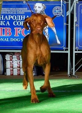 Image of Tina Trading Paris