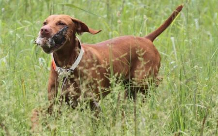 Image of Razn A Good Point