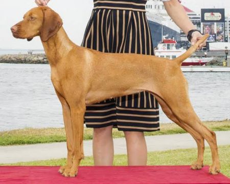 Image of Moonlight's Eat Your Heart Out