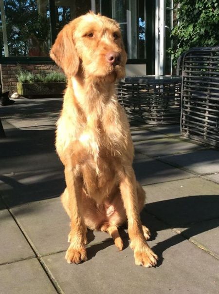 Image of Manni Garamparty