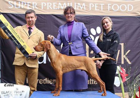 Image of Metropolis Debut Hunter