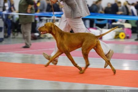 Image of Tina Trading Paris