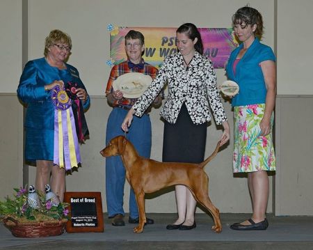 Image of Jaseni Le Tierah's Total Power Trip